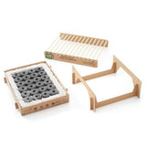 丹麥無火環保燒烤爐 CasusGrill (預訂貨品，5月28日送出)